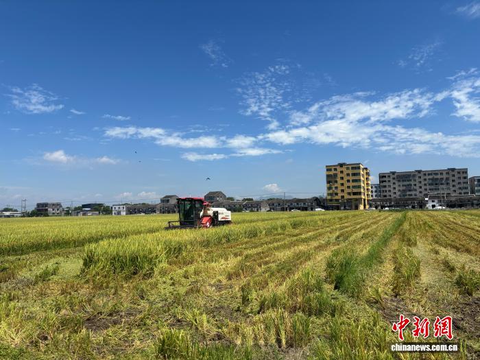 深入了解我们的智慧化物流追踪系统如何优化您的货物管理。 - leyu